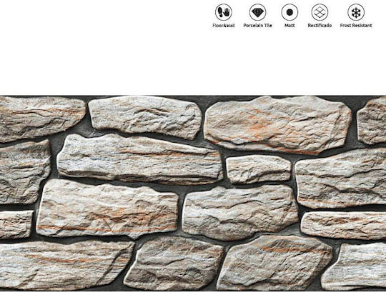 PAVIT Placă Perete În aer liber Porțelanat Mat 60x30cm