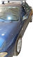 Menabo für Mitsubishi Carisma 1999-2004 (mit Dachträgerfüßen)