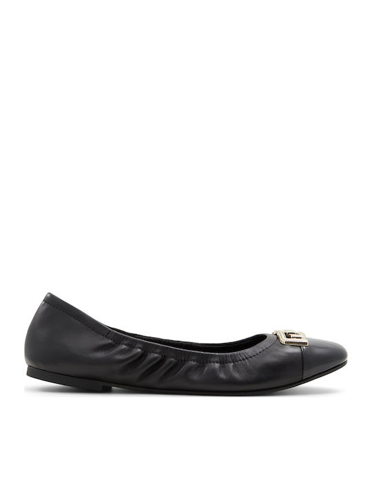 Aldo