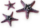 Oase Biorb Starfish Set 3 Pink Διακοσμητικοί Αστερίες Ενυδρείου