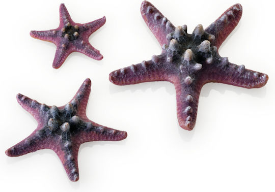 Oase Biorb Starfish Set 3 Pink Διακοσμητικοί Αστερίες Ενυδρείου