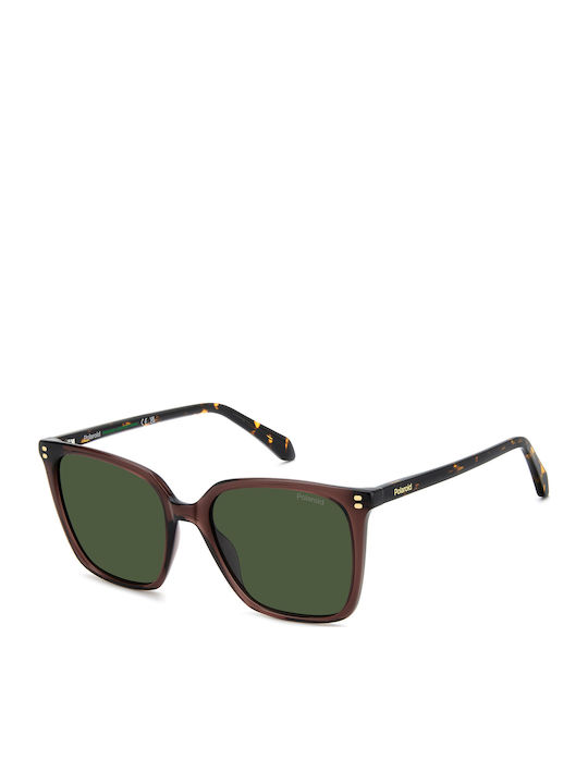Polaroid Unisex Sunglasses with Brown Horn-Rimm...