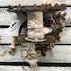 Vintage Ribbon Beige