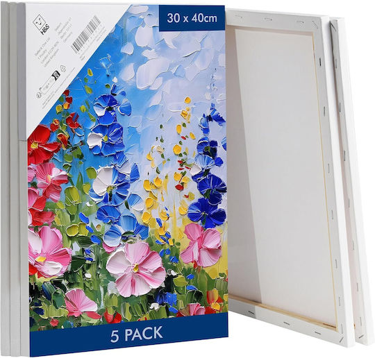 Set 5 Pânze De Pictură Mână 30x40 Cm Țesătură 100% Bumbac Potrivită Pentru Vopsea Acrilică Și Ulei
