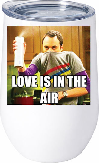 Love Is In Air Sheldon Big Bang Theory No18 Stainless Steel Double Wall Thermos Glass 500ml Premium Quality Valentine's Day