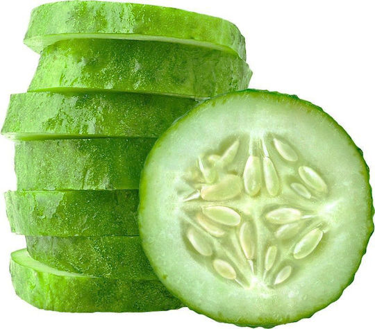 Αγγούρι Μακρύ F1 Cucumis Sativus 0.6γρ Σπόροι Αγγουριου