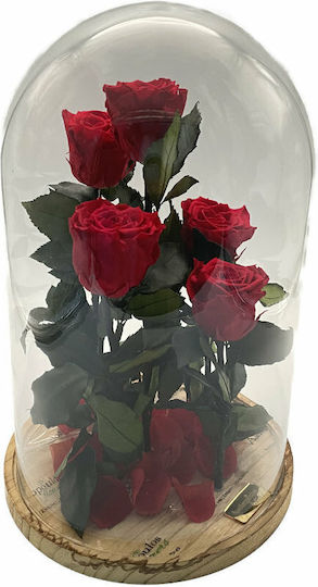 Trandafir Etern Red în Yala Aleiferopoulos Flowers