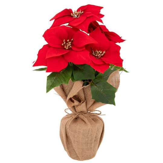 Iliadis Weihnachtsdekoration Alexandrinischer Länge 44cm.