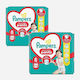 Pampers Πάνες Βρακάκι Active Baby Pants No. 8 για 17+kg 64τμχ