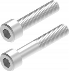 Baks Stainless Steel Screw Sam8x30e Buf35 Puf 898531 898530