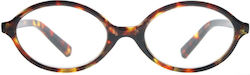 Frog Optical Reading Glasses +2.25 in Brown color