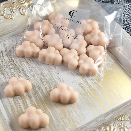 Wax Melts Wolken 50gr Pumpkin Pie