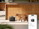 Petlibro Dockstream Wasserschale für Hund & Katze