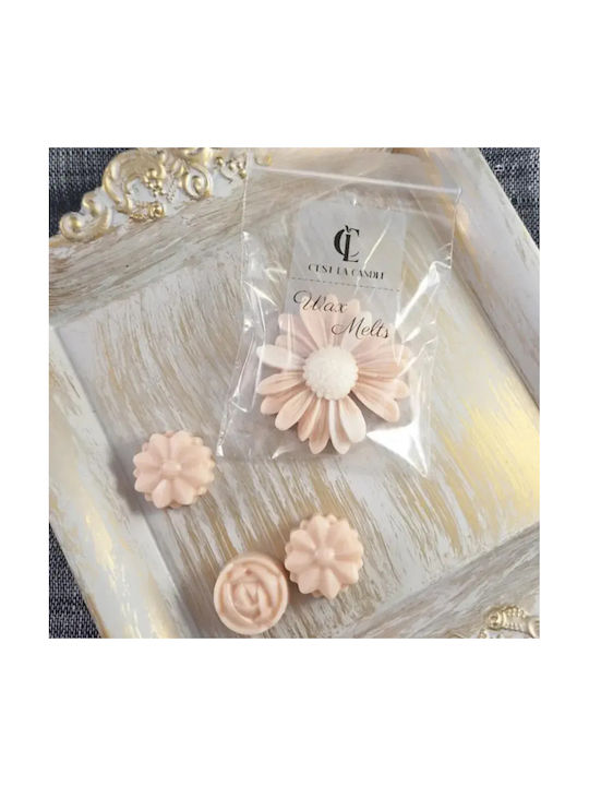 Wax Melts Daisy 1 Piece Salty Caramel