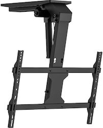 Stell Accessories SHO 8102 Βάση Τηλεόρασης Οροφής έως 75"