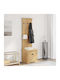Eingangsmöbel mit Schrank Honey Brown 50x40x156.7cm