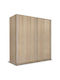 Ușă dublă Dulap de Haine Glisare 200x60x233cm