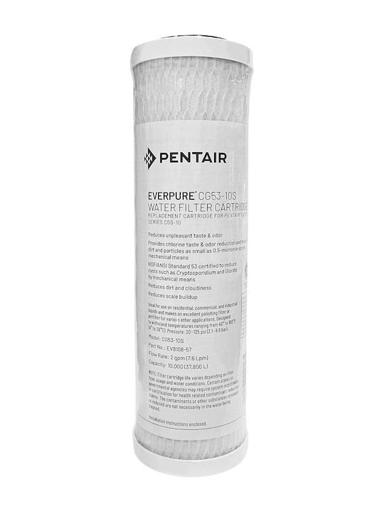 Pentair Countertop Water Filter Replacement made of Activated Carbon 0.5 μm