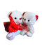 All Saints Red Rose Two Teddy Bears Height 23 Cm Milva Flowers