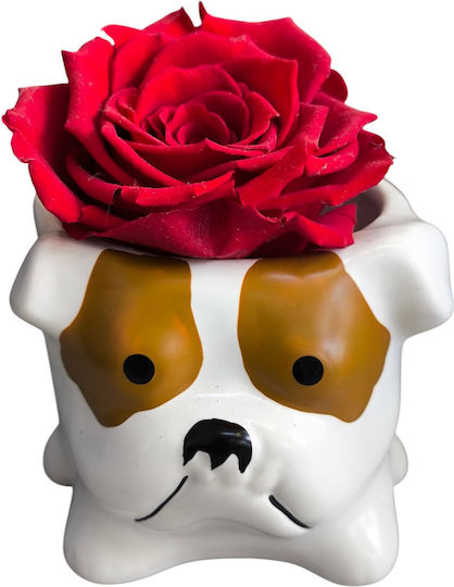 Red All Saints Rose White Brown Mini Ceramic Puppy H 7cm Milva Flowers