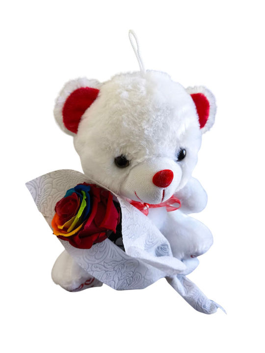 Toți Sfinții Rainbow Trandafir Ursuleț Înălțime 23 Cm Milva Flowers
