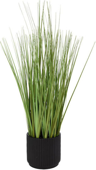 Gras 46cm Keramische Schwarze Kaspó Pflanze F10x9,5cm