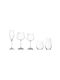 RCR Set of Glasses for White and Red Wine made of Crystal Stemmed 430ml 30pcs