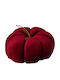 Dovleac Catifelat 12cm Burgundia