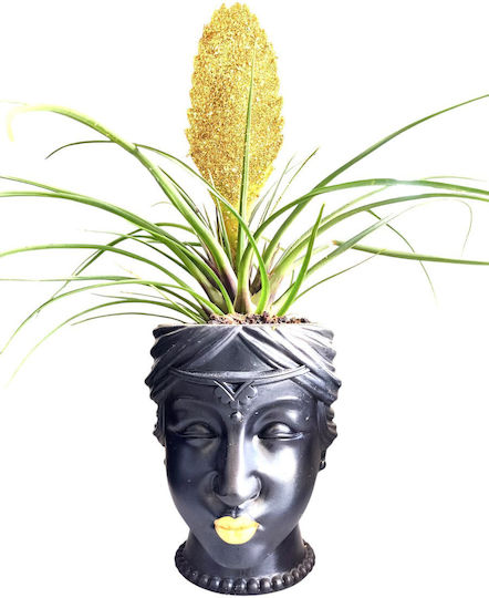 Τηλανσία Gold Glitter Keramikblumentopf Gesicht Höhe 30cm
