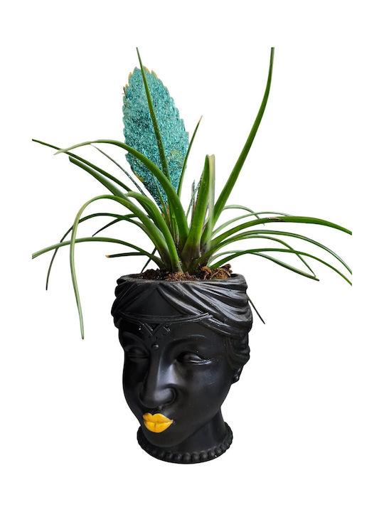 Τηλανσία Blaues Glitzer Ton Blumentopf Gesicht Höhe 30cm
