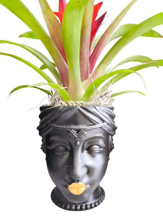 Γκουσμάνια Πήλινη Γλάστρα Πρόσωπο Υ 26cm Milva Flowers Γκουσμάνια Πήλινη Γλάστρα Πρόσωπο Υ 26cm Milva Flowers