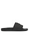 Slides