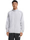 Tiro Sweatshirt with Hood Light Gray