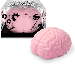 Trend Haus Squishy Trend Haus Squishy