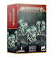 Warhammer Age Sigmar Nighthaunt – Spirit Hosts