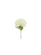 Artificial Decorative Branch Hydrangea White Atmosphera