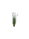 Neobartsia Lavender in Potted Plant Lilac 120cm Atmosphera