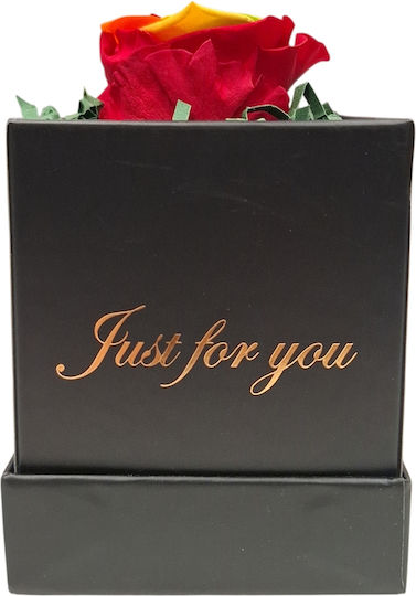 Πολυχρωμο Τριανταφυλλο Forever Rose Κουτι "just You" Μαυρο Στικ Πολυχρωμο Τριανταφυλλο Forever Rose Κουτι "just You" Μαυρο Στικ