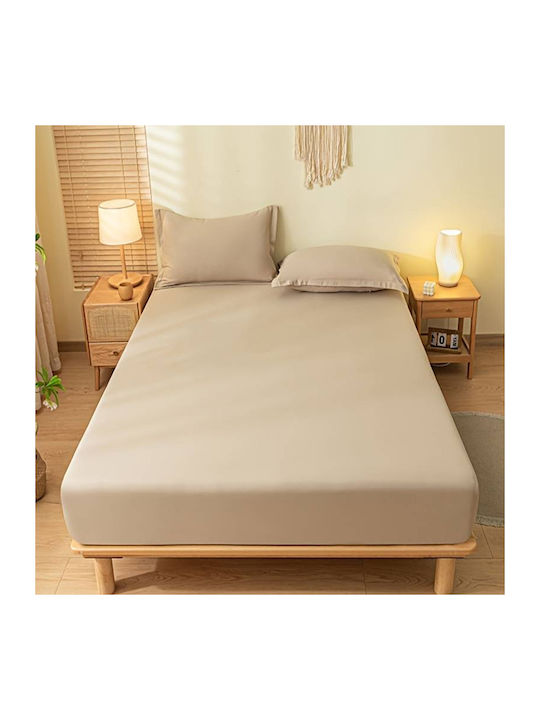 SpitiBazaar Cearșaf Super dublu 220x240cm. Beige Mocha