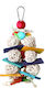 Παιχνίδι Παπαγάλου Birds Kingdom Starballs 20εκ Bke4410