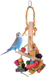 Parrots Game Birds Kingdom Berrdewey 36cm Bke3471 Parrots Game Birds Kingdom Berrdewey 36cm Bke3471