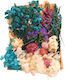 Dried Flowers Mix Turquoise