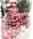 Dried Flowers Mix Pink Blush