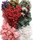 Getrocknete Blumen Mix Rot & Pink