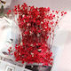 Dried Red Gypsophila 15gr