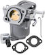 Genuine Carburetor Briggs & Stratton 40r5 597126