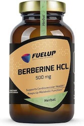 Fuel Up Berberine HCL 500mg 60 Herbal Capsules Fuel Up Berberine HCL 500mg 60 Herbal Capsules