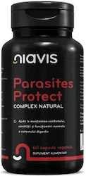Parasites Protect Complex Natural 60 Capsule