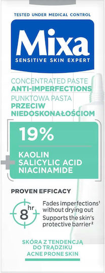 Concentrated Spot Paste Against Imperfections Κρέμα Προσώπου Ημέρας κατά της Ακμής 15ml