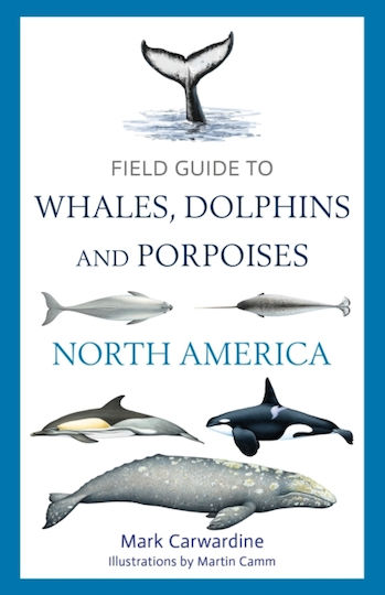Field Guide To Whales, Dolphins And Porpoises Of North America - Bloomsbury Publishing Plc - Paperback / Softback